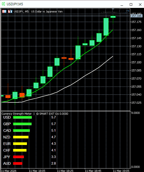 Forex Result